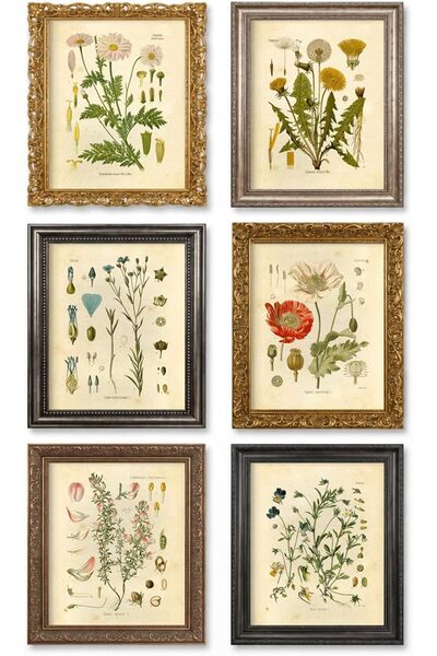 ESSESORIES Botanical Wildflower Floral Aesthetic Poster Wall Art Set of 8 Roo...