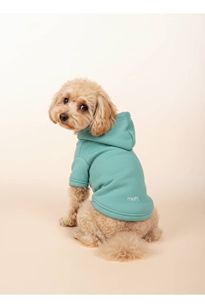 Kapüşonlu Kedi Köpek Kıyafeti Sweatshirt Hoodie Evcil Hayvan Giysisi