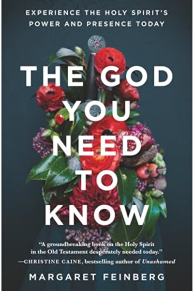 Zondervan The God You Need To Know Experience The Holy Spirits Power And Pres...