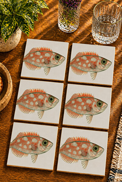 JHAAR Fish Design Modern Set of 6 Coasters - Uv Printing Mdf - 10X10 cm