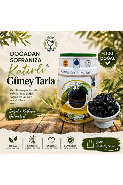 Katırlı Zeytin KATIRLI Güney Tarla Katırlı Köyü TAŞ BASKI SALAMURA Siyah Zeyt...