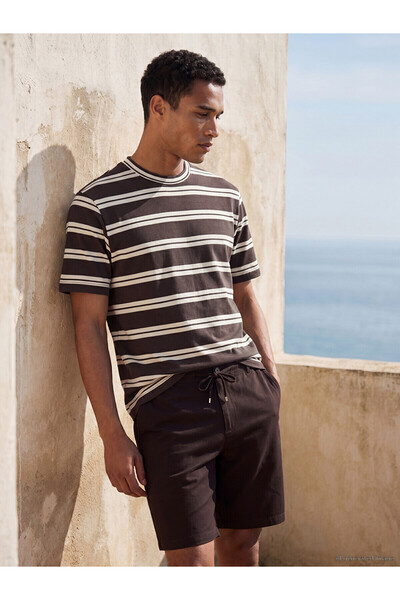 LC Waikiki Peak New Season Crew Neck Striped Men's T-Shirt