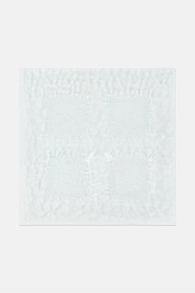 Noor Living Gourmet Server 4-Section Glass Plate, Transparent