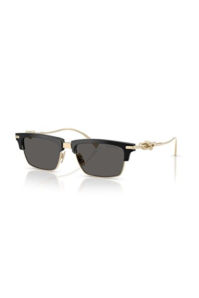 Tiffany&Co Tiffany & Co. 0TF 4262K 8001S4 54 Unisex Güneş Gözlüğü