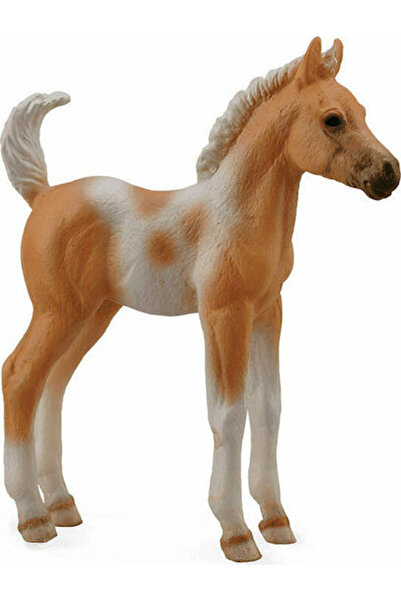 Collecta Pui de cal Pinto Palomino 6.6cm