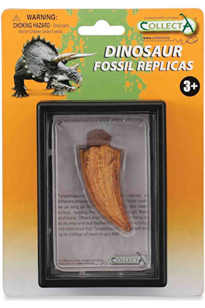 Collecta Dinte oblic Tyrannosaurus Rex, descoperit în cutie, 11.5cm