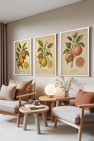 Zestia Set de 3 tablouri cu ramă albă, Ilustrație botanică Grădina citriceilo...