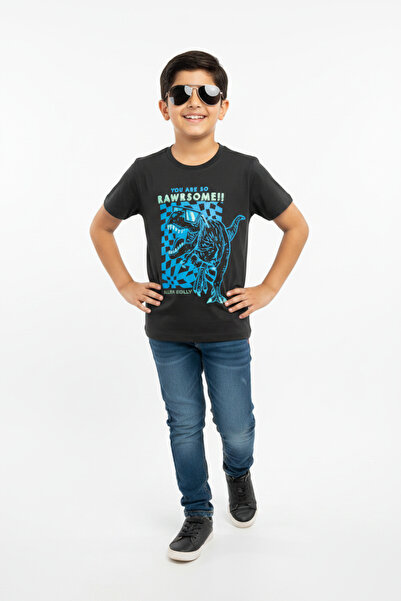 Allen Solly You Are So Rawrsome kids T-Shirt
