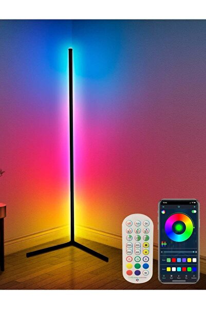 Houmt Corner Floor Lamp 65” Color Changing LED Floor Lamp with Music Sync Rem...