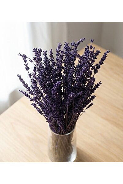 Rosess Shockproof Non-Shedding Durable Lavender Bunch - Arrangement |   Ornam...