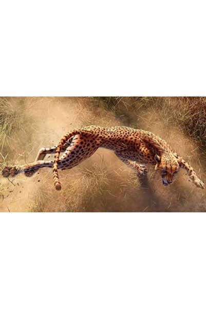 Persona Tablou canvas 100 x 70 cm, Animale model 336