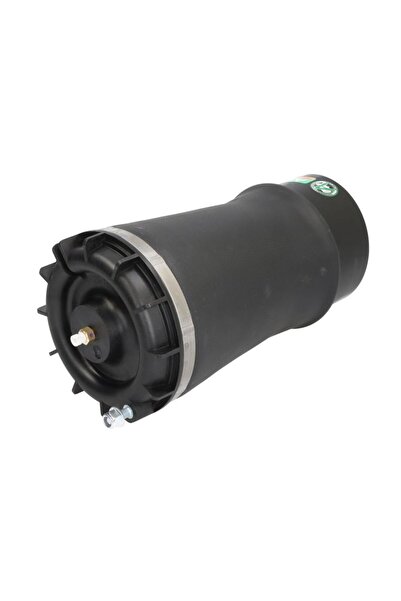 ARNOTT Perna de Aer Spate Dodge Ram 1500 Ram 1500 3.0d/3.6/5.7 10.08- RAM 150...