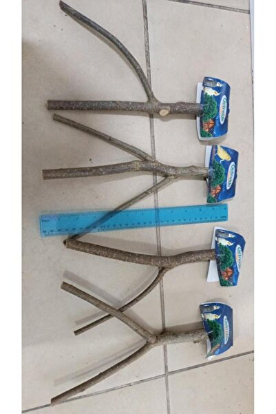 netx Doğal Ahşap Dal Tünek 30 cm