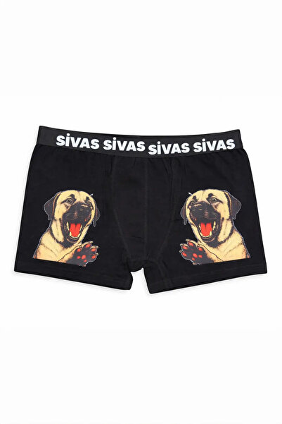 Namgo Sivas Kangal Boxer