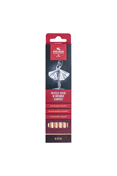 OEM Set pastele uscate Koh-I-Noor, 6 culori gri, pentru portrete, cu oprawki ...