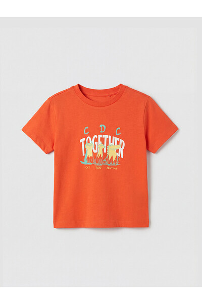 LC Waikiki Peak New Season Crew Neck Printed Boys' T-Shirt