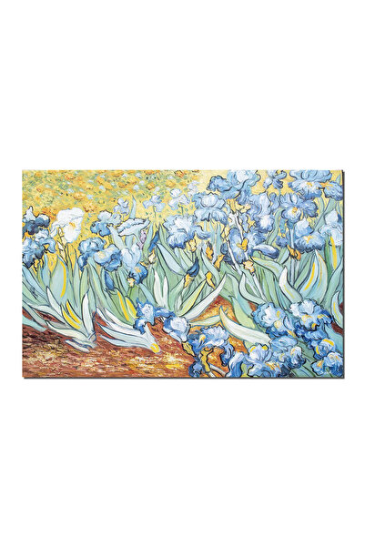 artnova Διάσημο γιγάντιο, χειροποίητο πίνακα σαλονιού, Ίριδες στο Σεν-Ρεμί, 1...