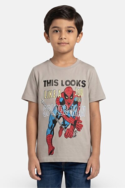 Marvel Kids Boy Crew Neck Short Sleeve Spiderman Print T-Shirt, Grey