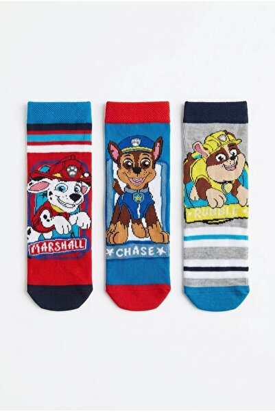 NİCKELODEON Lisanslı Paw Patrol 3'lü Kız Erkek Çocuk Soket Pamuklu Çorap Günl...