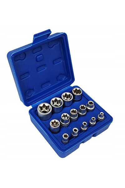 Silverina Set de chei tubulare Torx interioare E4-E24, 14 piese, valiză, SILV...
