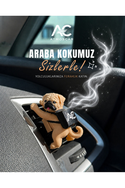Atmoscartr ARABA KOKUSU BÖĞÜRTLEN KOKUSU
