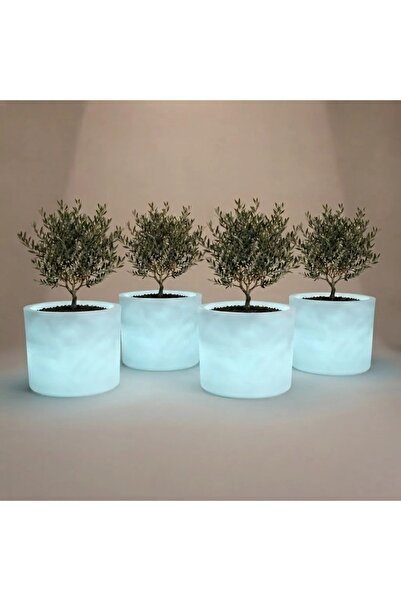 MYASEM STORE Set of 4 Laura Planter Boxes with Rgb Lighting for Indoor and Ou...