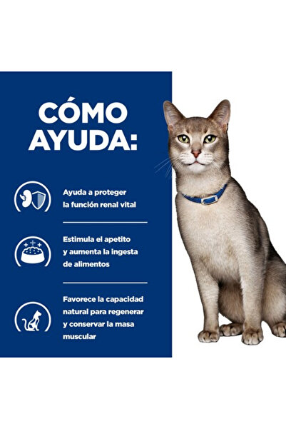 Hill's Karma S PD FELINE K D Pui 3 kg
