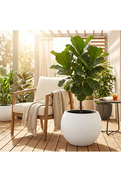 poliva home Küre Model İç Drenaj Hazneli Dekoratif Modern Saksı 27,5 lt