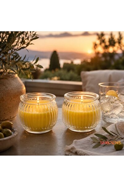 SHOPIENS Set 2 Lumanari Repelente Pentru Tantari Cu Citronela In Recipiente R...