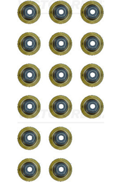 VICTOR REINZ Set de garnituri capace supape Reinz 12-10143-01
