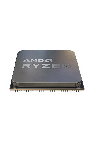 AMDHOME Amd Ryzen 5 5500 X6 3.6Ghz Am4 Procesor Tray