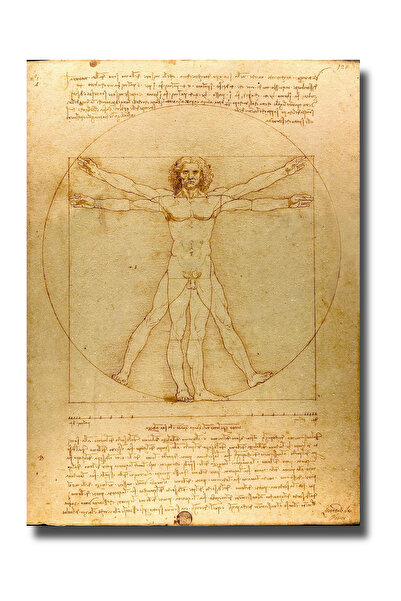 Rosaart Leonardo Da Vinci Vitruvius Adamı Çerçevesiz Poster