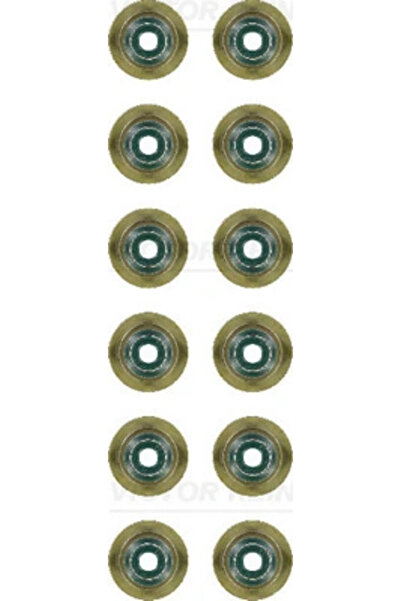 VICTOR REINZ Set Garnituri Ax Supape Bmw 1/3/5 Bmw (Brilliance) 5 Series 2004...