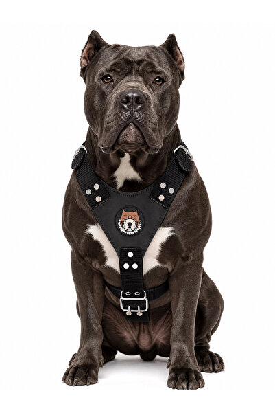 YILPAX Köpek Göğüs Tasması Deri Panelli Dokuma Ayarlanabilir Büyük Irk Gezdirme Tasması Siyah