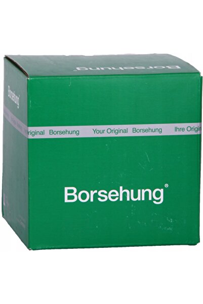 BORSEHUNG Germany B19174 BAIA DE ULEI VW PASSAT 1.8TSI/2.0TSI 08-