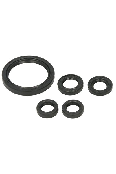 WINDEROSA Set de Garnituri de Motor Yamaha Yfz 450 2009-2024 YAMAHA YFZ