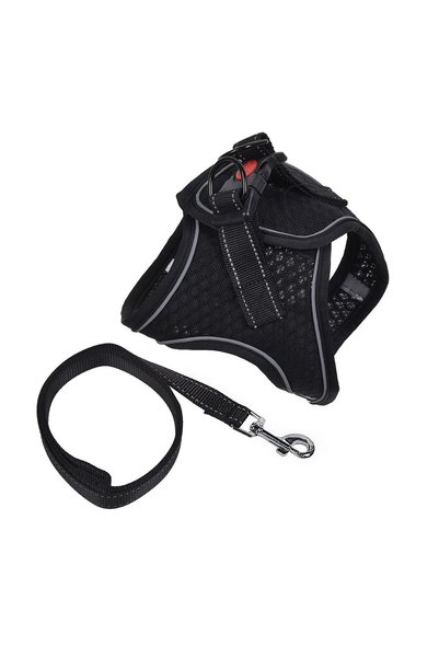 OEM Ham Negru cu Lesă pentru Câini (M) 120 × 2.0 cm