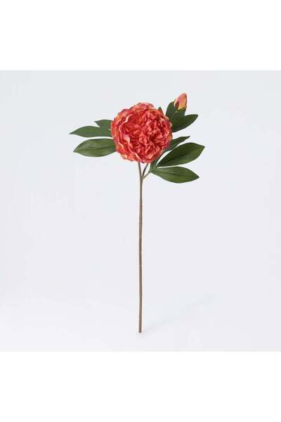 Generic New In Fernza Peony Reddish Violet Single Stem Red H58Cm