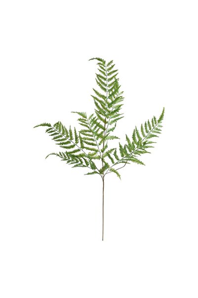 Atmosphera Tulpina artificială de ferigă „James” - Verde, H.90 cm