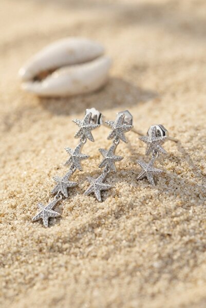 Clariss Set of 3 Silver Color Starfish Model Earrings