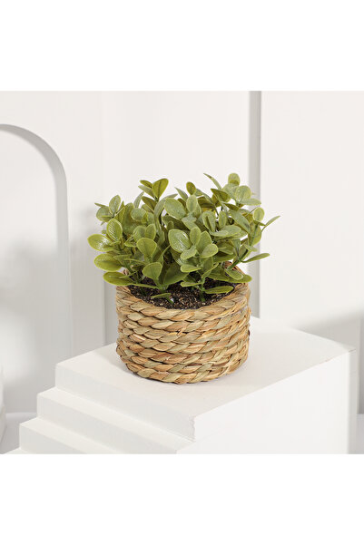 Choice 10-11cm Plant 03 XIYA FLOWER Green Artificial Plants Eucalyptus Grass ...
