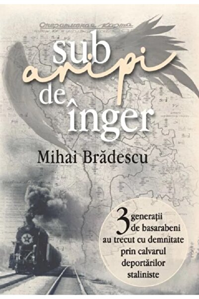 Litera Sub aripi de inger - Mihai Bradescu