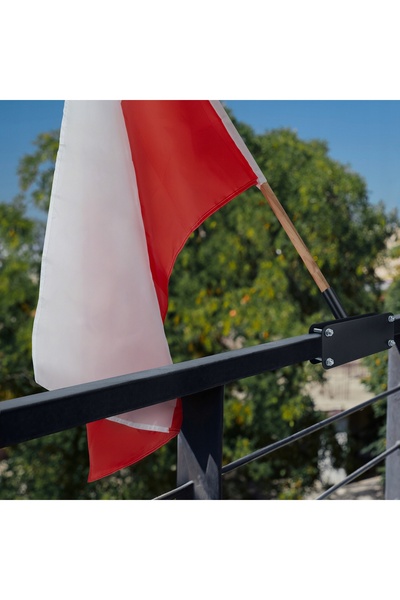 NO BRAND SET STEAG STEAG POLONESC 110x70 STIL 120 SUPORT PENTRU STEAG COMPETI...