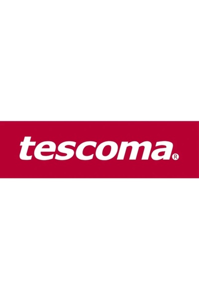 NO BRAND Matriță de silicon TESCOMA pentru cuburi mari de gheață XXL, cu capac