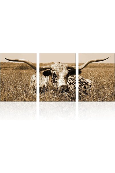 HOME MODE 30x40 cm 3 Panel Gallery Wrapped Canvas | Texas Longhorn Bull Wall ...