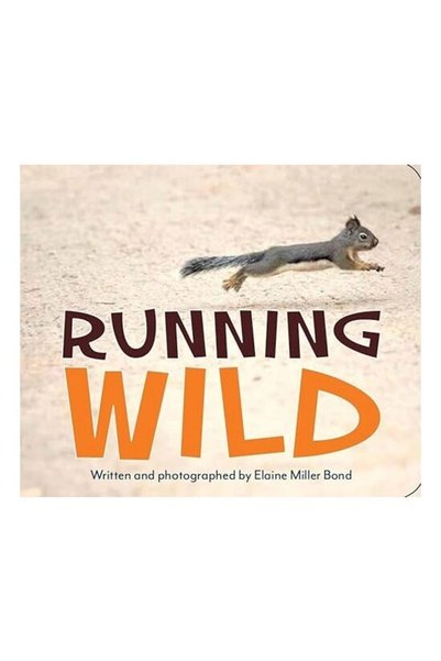 HEYDAY Running Wild