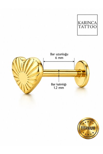 Karınca Piercing Deniz Kalp Titanyum Piercing Premium Helix Burun Conch Flat Kulak Tragus Küpe