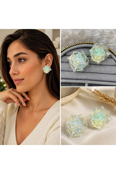 Bozhi Transparent Rose Figured Glitter Earrings Special Gift Steel