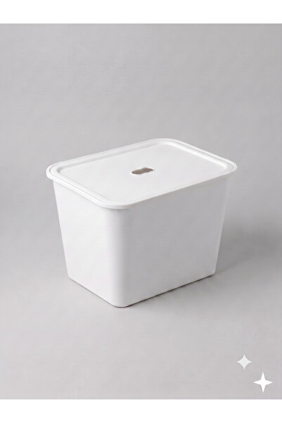 decosense Ultra Large 24 Liter 40X30X30 cm Polypropylene Plastic Organizer with White Lid - Toy Box and Storage Basket