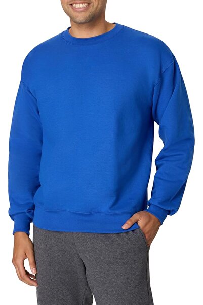 HANES mens Men's Ecosmart Fleece Sweatshirt Hooded Sweatshirt (pack of 1)